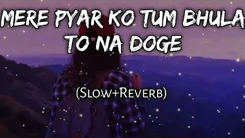 Mere Pyar Ko Tum Bhula To Na Doge(Slow+Reverb) Hindi Sad Song (use headphone🤣😈)