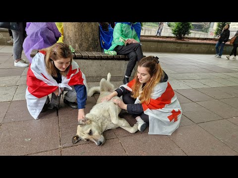 საქართველოს ასტროლოგიური რუკის ანალიზი და ტრანზიტები