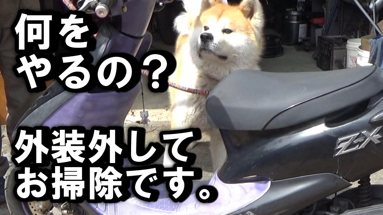 掃除中 AF35ZX外装外して内部クリーニングの巻 - YouTube