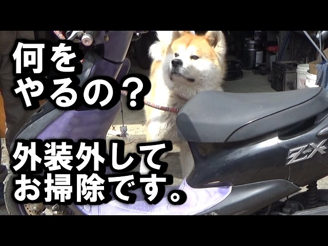 AF35ZX外装外して内部クリーニングの巻 - YouTube