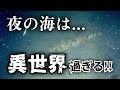 【野北漁港で新シリーズ始動!未知の魅力に溢れる夜釣りの参考に!海中探索・福岡県糸島市・野北漁港・夜の海中映像】 #269 福岡釣部 in 福岡・糸島・北九州・長崎・平戸・佐賀・唐津・呼子・生月・鷹島