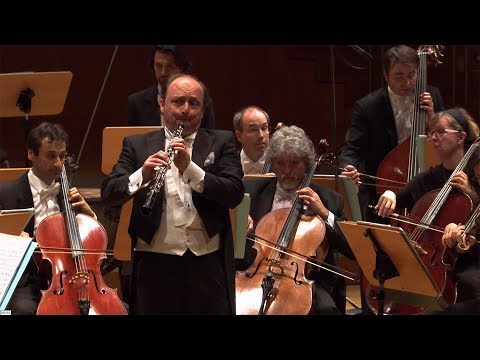 Lebrun: Oboenkonzert d-Moll ∙ hr-Sinfonieorchester ∙ François Leleux