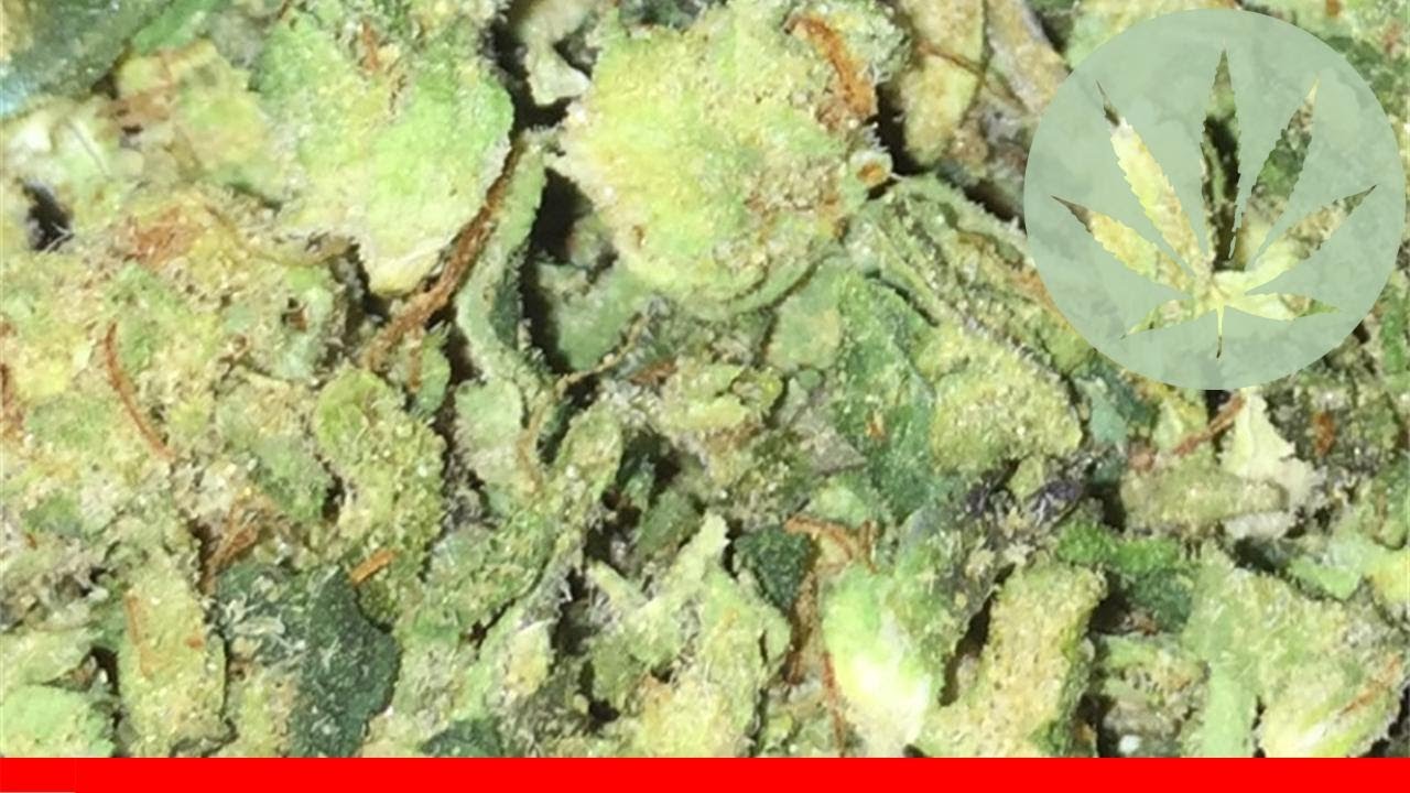 Herijuana - All About This Strain