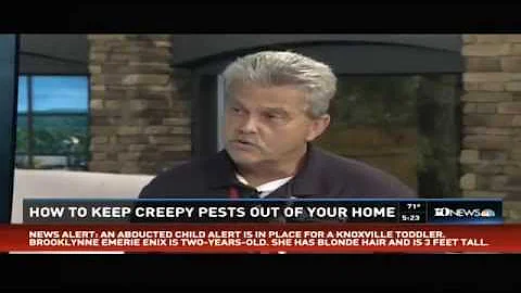 "Top Creepiest Pests"| Knoxville, TN| Arrow Exterm...