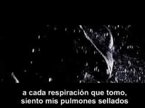Alexisonfire-This Could Be Anywhere In The World-Subtitulado Español