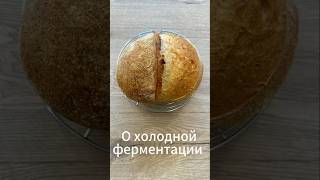 Зачем ставить дрожжевое тесто в холодильник Холодная ферментация Вопрос - Ответ