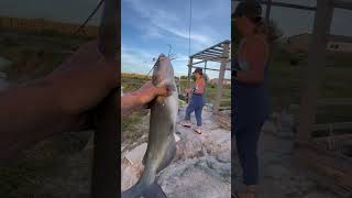 Catfishing Our Private Lake #fishing