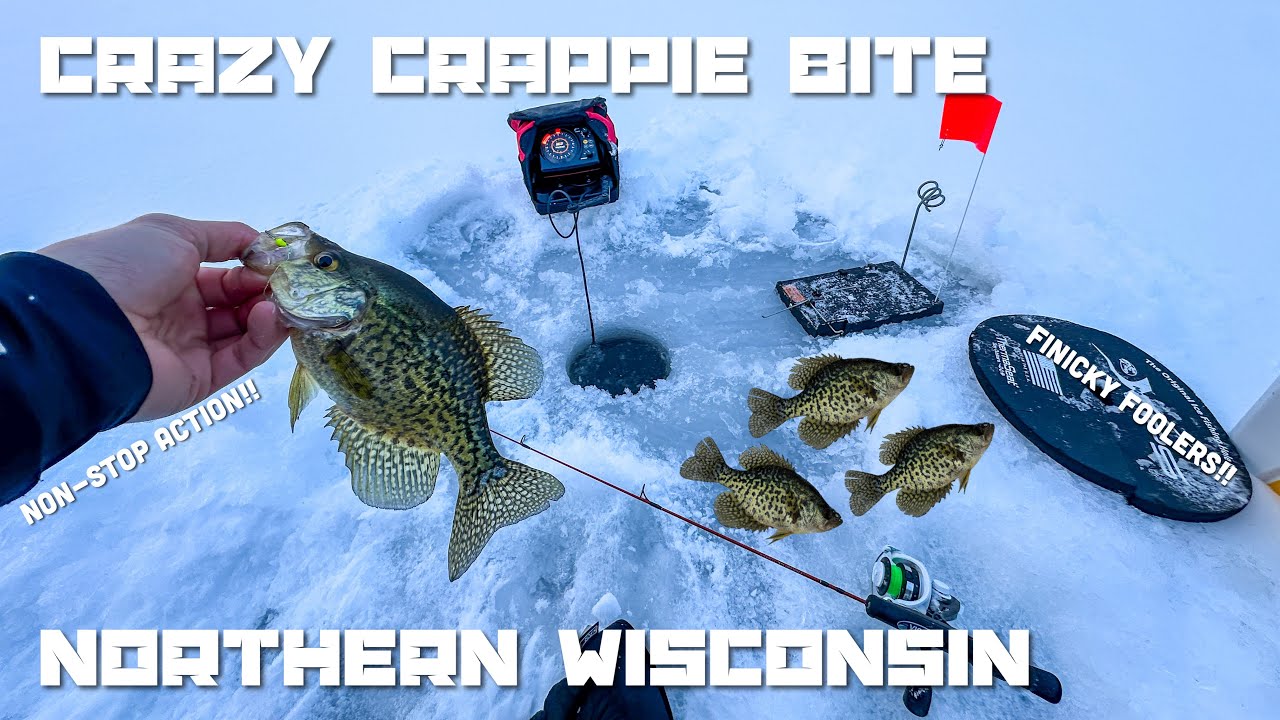 ‪Ice Fishing a CRAZY Crappie Bite in Northern Wisconsin with FINICKY FOOLERS (1-17-2026)