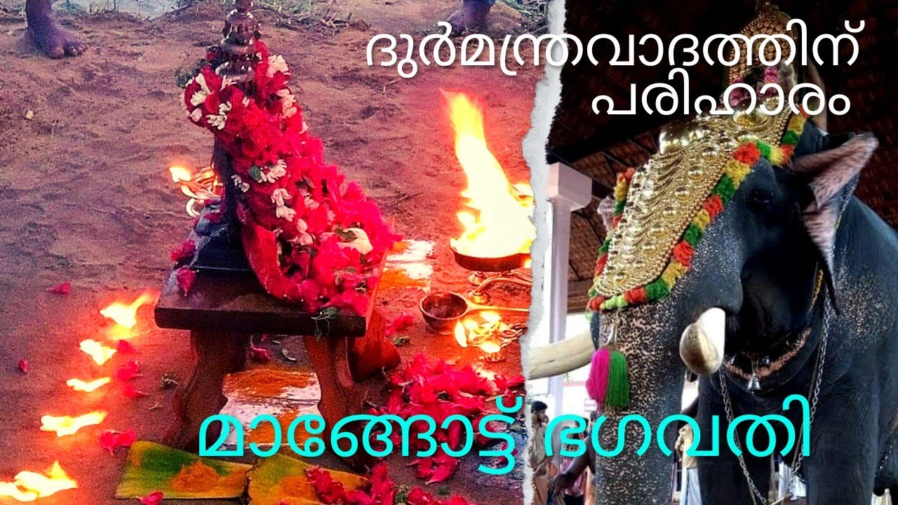 ശ്രീ മാങ്ങോട്ട് ഭഗവതി ക്ഷേത്രം