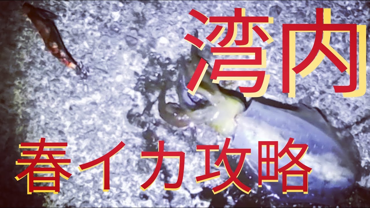 エギング 春イカ攻略 常夜灯パターン Youtube