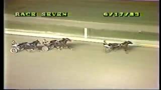 Happy Gennaro and My Bill Forwood-1983 Roosevelt Raceway - George Morton Levy Series Final