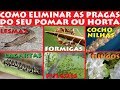 Como Eliminar Lagartas, Lesmas, Formigas, Fungos e Pulgões facilmente do Seu Pomar ou Horta!