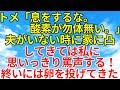 スカッとする話【修羅場・因果応報】夫がいないところでいびりをしてくるトメ。ある日、卵を私にめがけて投げてきたが、卵が当たった先は…【スカッとオーバーフロー】