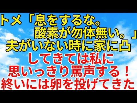 スカッとする話【修羅場・因果応報】夫がいないところでいびりをしてくるトメ。ある日、卵を私にめがけて投げてきたが、卵が当たった先は…【スカッとオーバーフロー】