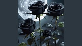 Black Roses