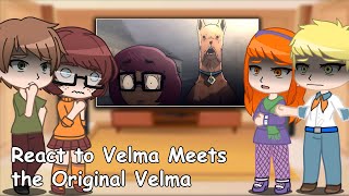 Scooby-Doo React to Velma Meets the Original Velma | Gacha Talking