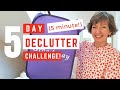 5 Day, 5 Minute Declutter Challenge! Spring 2022, Flylady Zone1 (Hall)