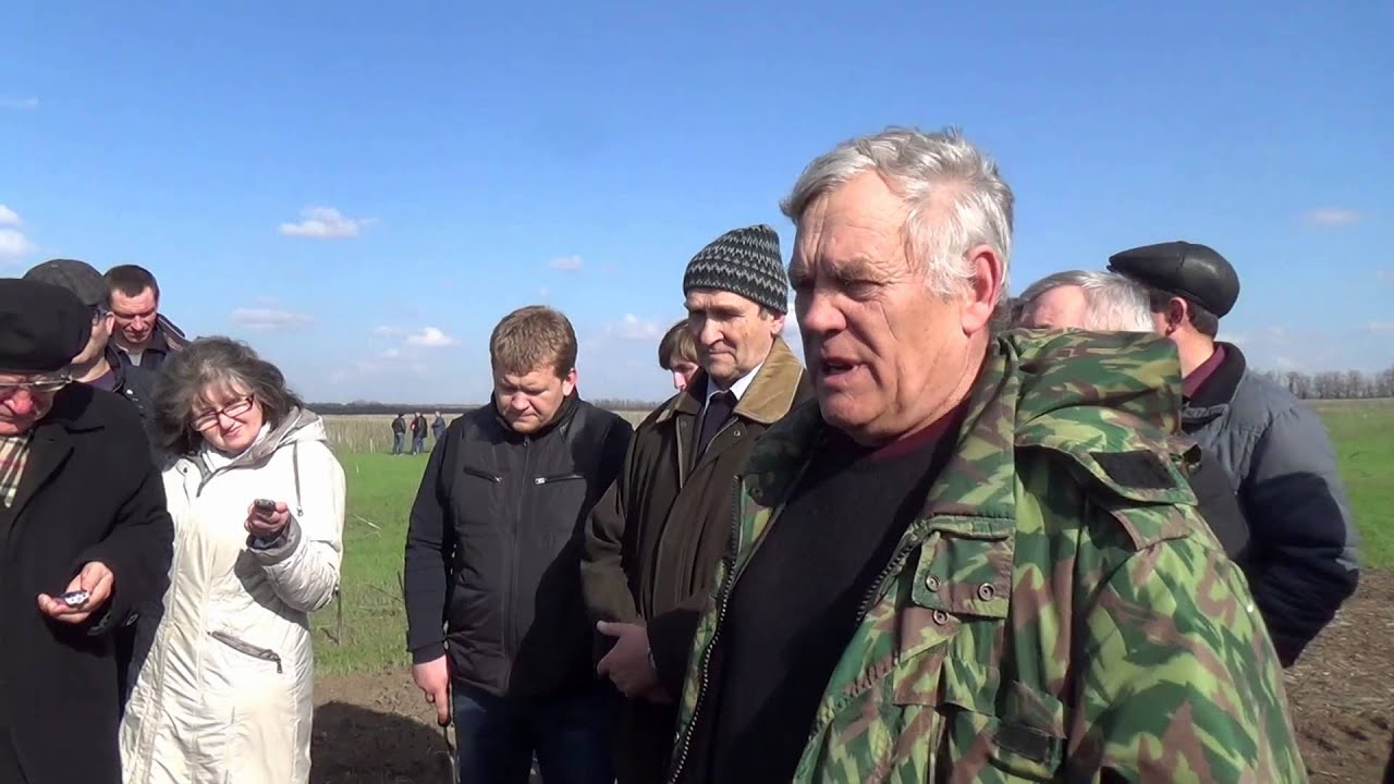 Донская нива семена