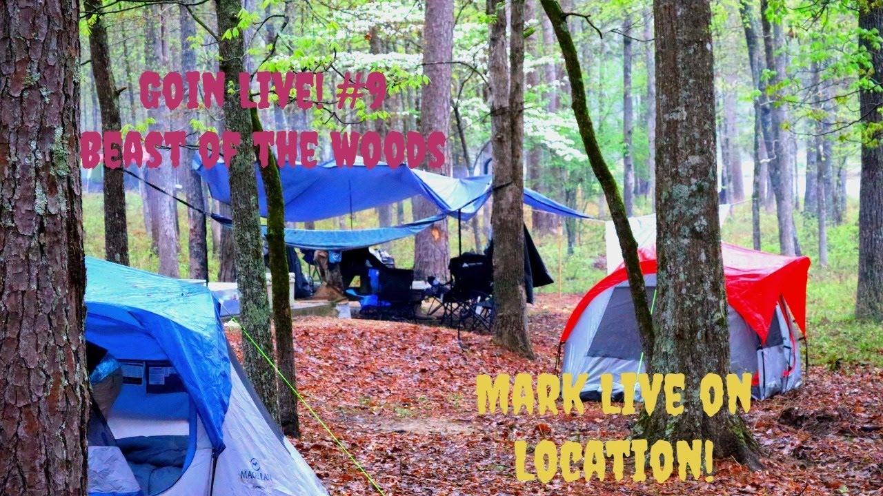 Mark Live on Location! YouTube