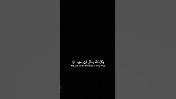 الحمدلله #تلاوة_خاشعة #قران_كريم #ياسر_الدوسري #اكسبلور #لايك #يارب