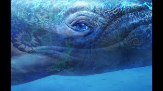 🙏528 Hz Connect to the Whales Beautiful Love Song Ascension Transmission (Blue Ray  Frequency) screenshot 2