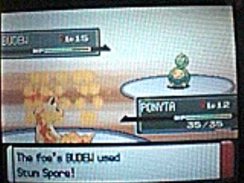 Allan's Platinum Pokemon Adventures: Part 25