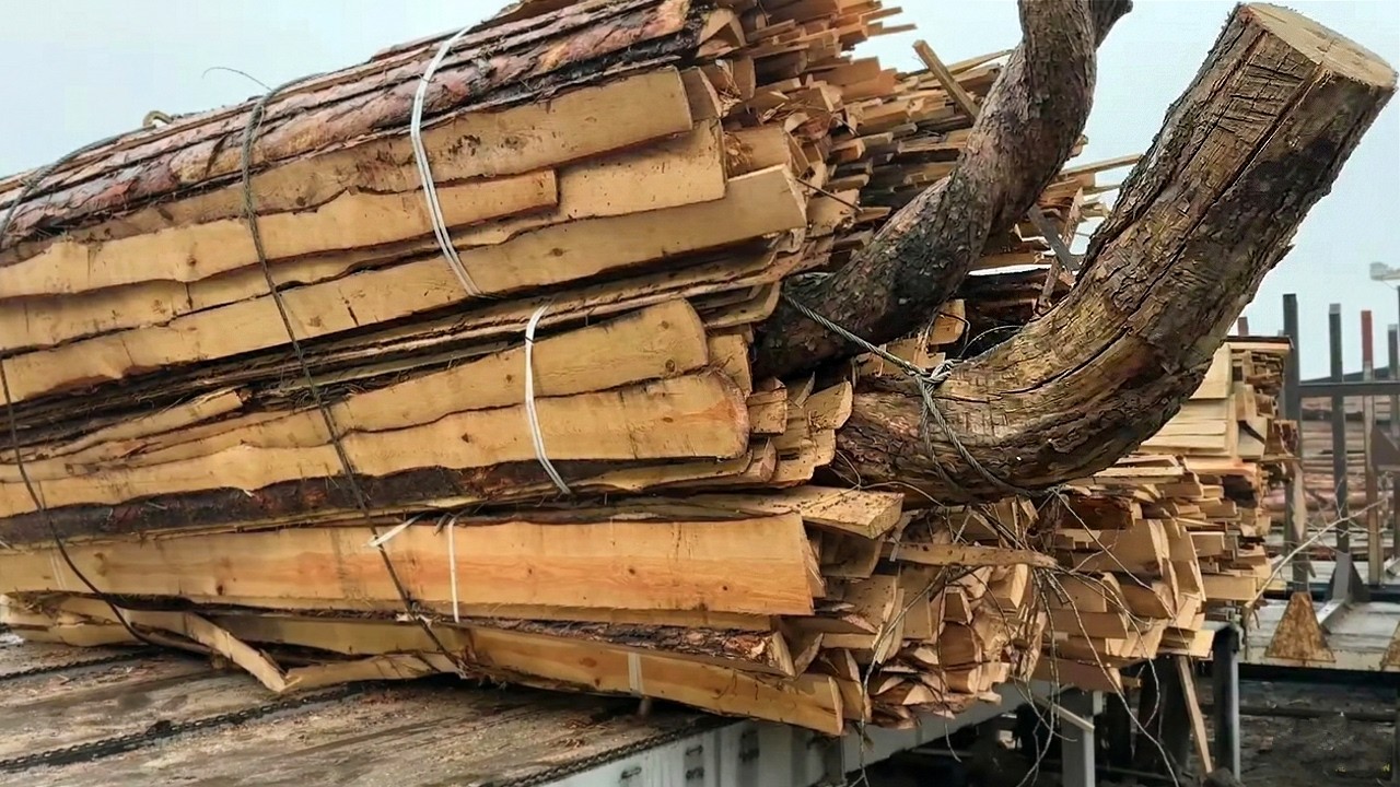 Oddly Satisfying Wood Chipping | Relaxing Noises