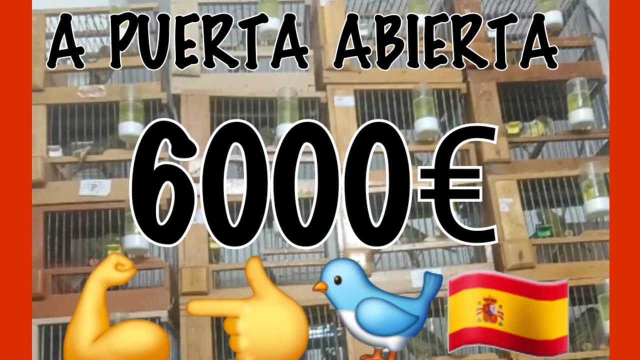 Os reto,GRAN PREMIO ENJUICIADOS A PUERTA ABIERTA. 6 MIL €💪👀👈🐦🇪🇦