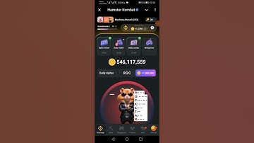 Hamster Kombat Daily Cipher Code | 31 August 2024