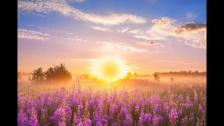 Permanent Link to GOOD MORNING MUSIC 💖 528Hz Positive Energy ➤ Soothing Beautiful Deep Morning Boost Meditation Music