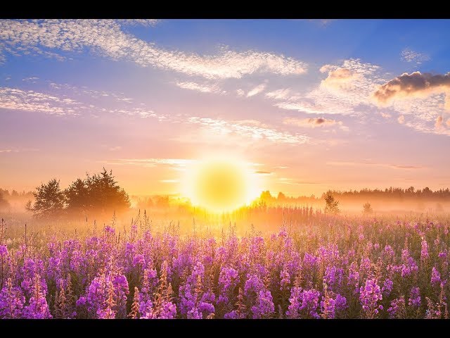 GOOD MORNING MUSIC 💖 528Hz Positive Energy ➤ Soothing Beautiful Deep Morning Boost Meditation Music class=