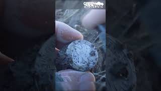 Unbelievable BIG silver coin found metal detecting!!