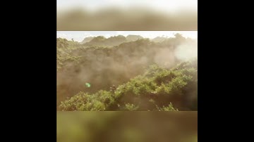 realistic forest in blender #blender #short