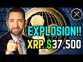 Bitcoin Whales Accumulating, Big Move Ahead! XRP ETF Expected Early 2025! 9 Trillion in Sight