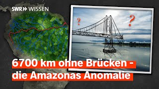 Download Lagu Warum hat der Amazonas keine einzige Brücke? | SWR Wissen MP3 Download Lagu Warum hat der Amazonas keine einzige Brücke? | SWR Wissen MP3