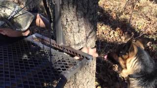 twisted timber dominator part-2