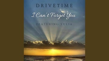 I Can't Forget You