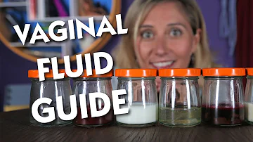 Vaginal Fluid Handbook