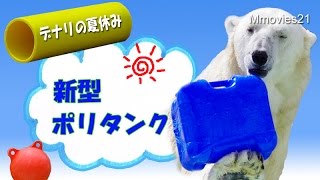 新型ポリタンクで弾けるデナリ~Polar Bear is playing