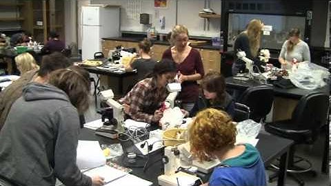 Emergency Preparedness Video