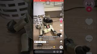 Something I want but it expended #aibo #robot