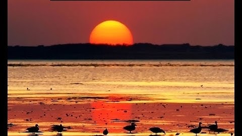 Топ3 невероятных людей в мире!