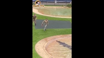 Steve Irwin Wild Life Warrior Show. #crocodile #wildlife  #wildanimals #animals #viral #amazing