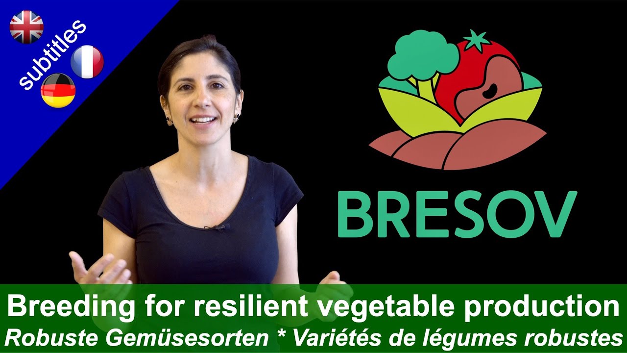 BRESOV - Breeding for Resilient, Efficient and Sustainable Organic Vegetable production