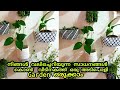 Indoor garden using waste bottles| വീടിനകത്ത് ഒരു Garden ||Creative Garden Ideas From Waste Bottles.