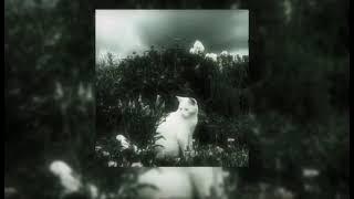 wicked games - kiana ledé (speed up)