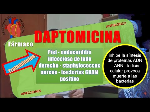 Vídeo: La Daptomicina, Un Antibiótico De último Recurso, Se Une A La Proteína Ribosómica S19 En Humanos