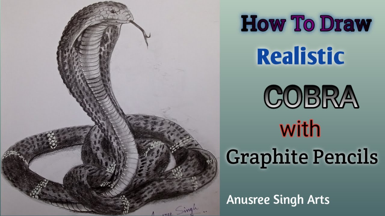 Free Cobra Drawing, Download Free Cobra Drawing png images, Free ClipArts  on Clipart Library