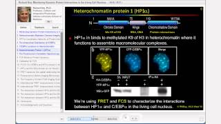 Drug Discovery & Development Cell Imaging Workshop DVD PREVIEW