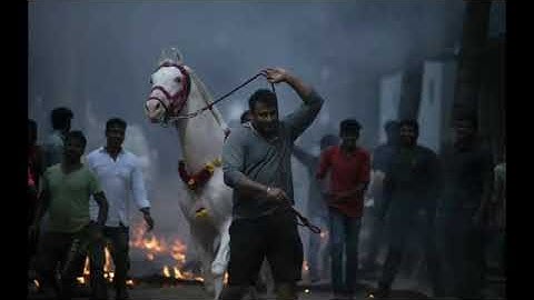 Challenging Star Darshan celebrating Sankranti in his farm house|#DBoss|